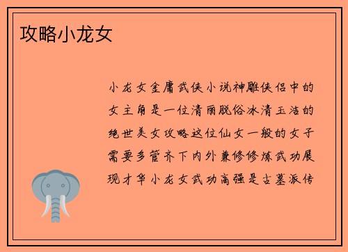攻略小龙女
